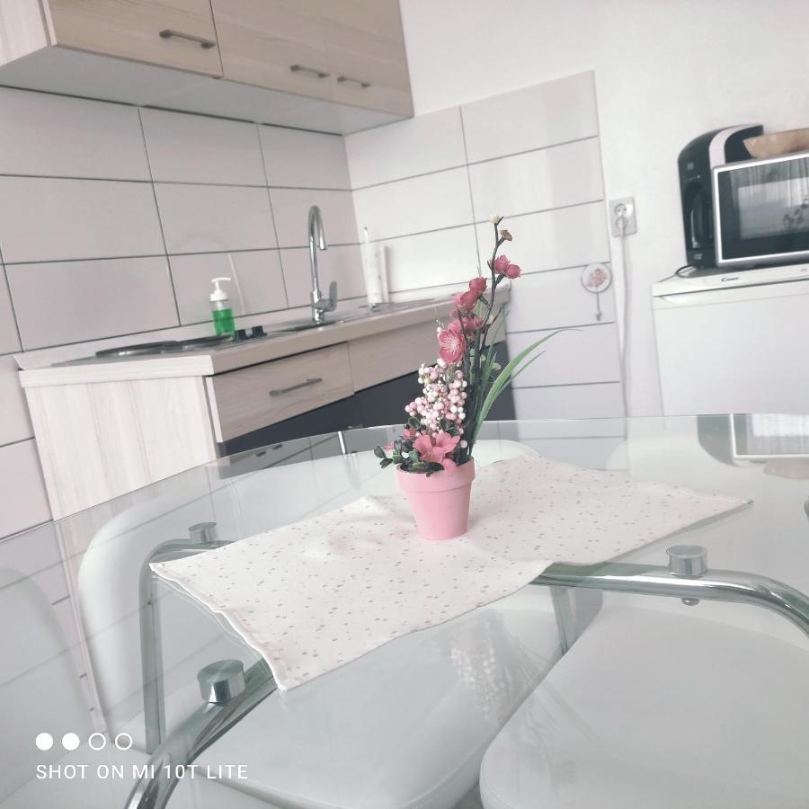 Studio Apartman Valentina Velika Mlaka 外观 照片